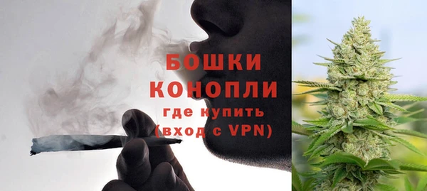 стафф Михайловск