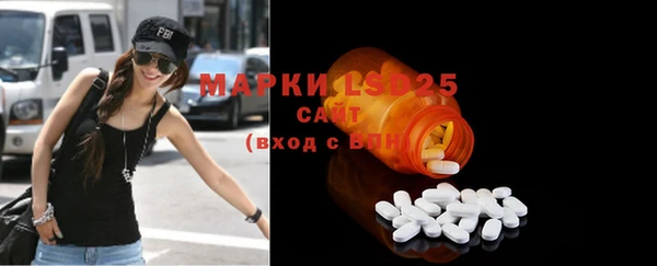 стафф Михайловск