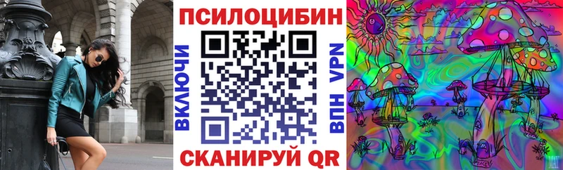 Галлюциногенные грибы MAGIC MUSHROOMS  Купить закладки  Долгопрудный 